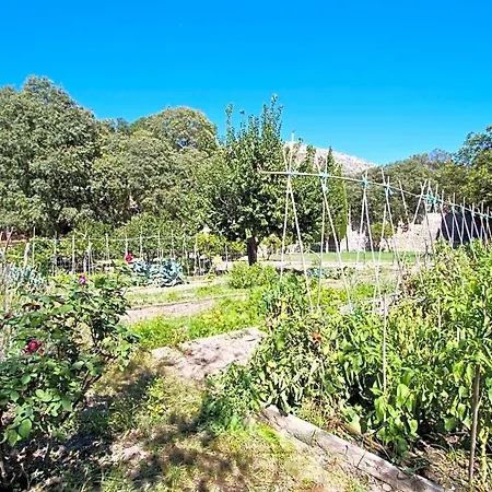 Sleeps 12 With Pool Air Con And Wifi * Pollenca